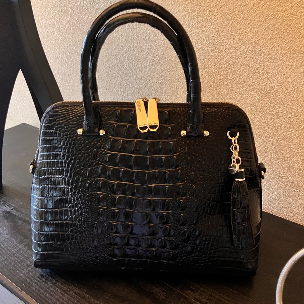 Brahmin Purse